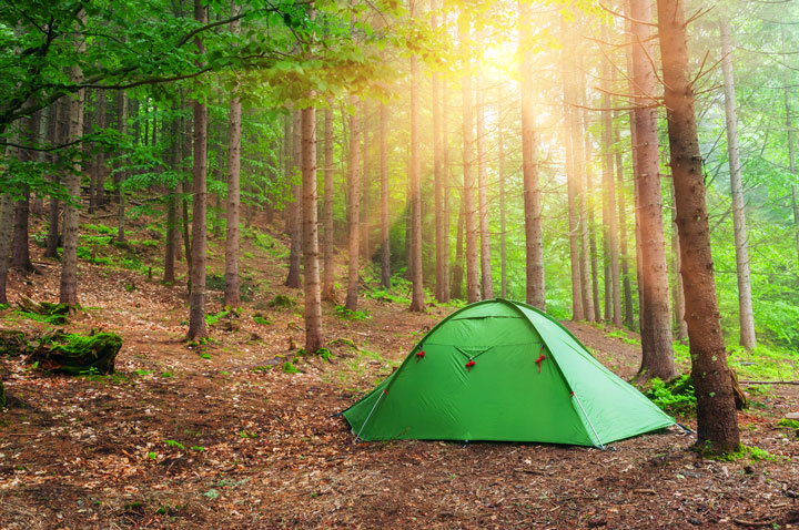 Outdoor Camping Safety Tips - American Alarm